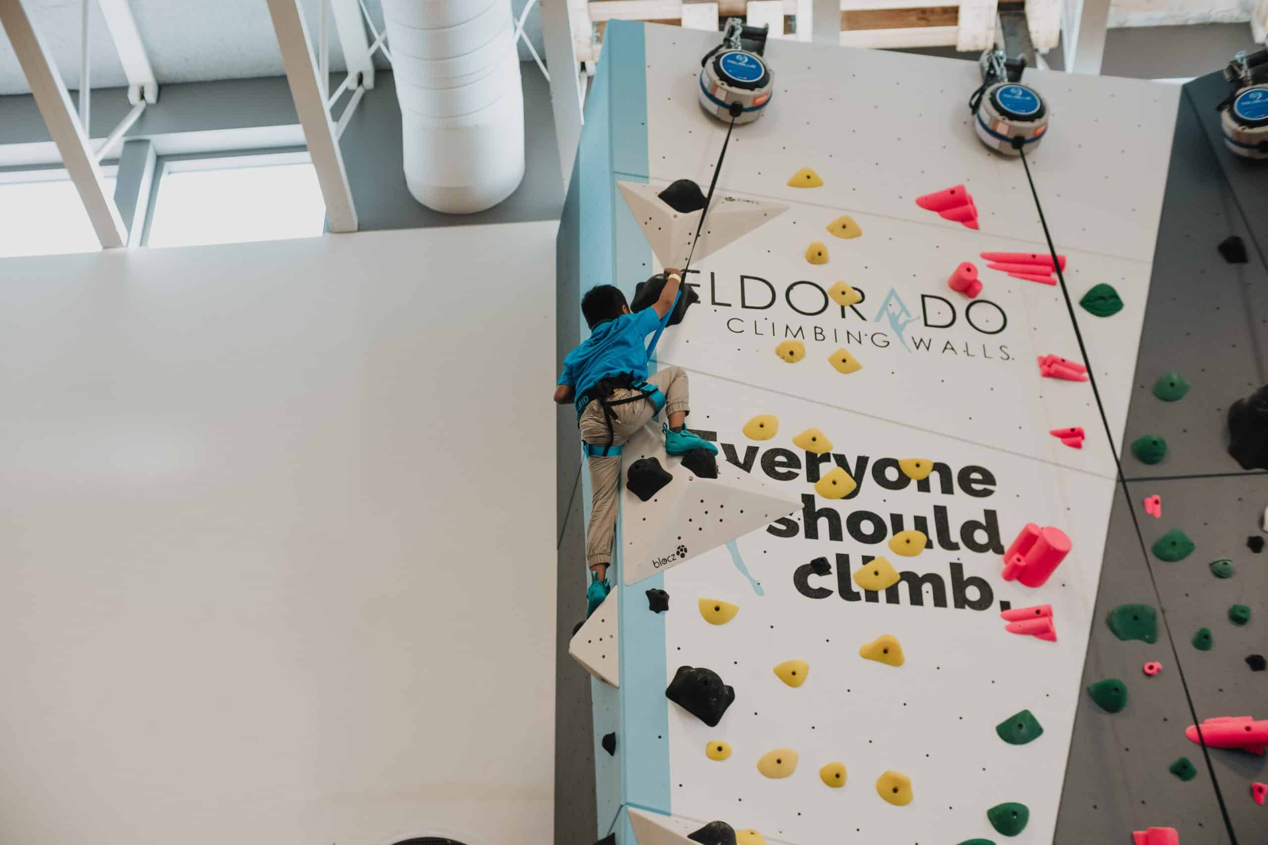 How Do Auto Belays Work: What's Going on in There?